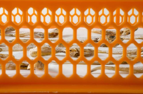 Dried fishes covered with diamonds (Naom